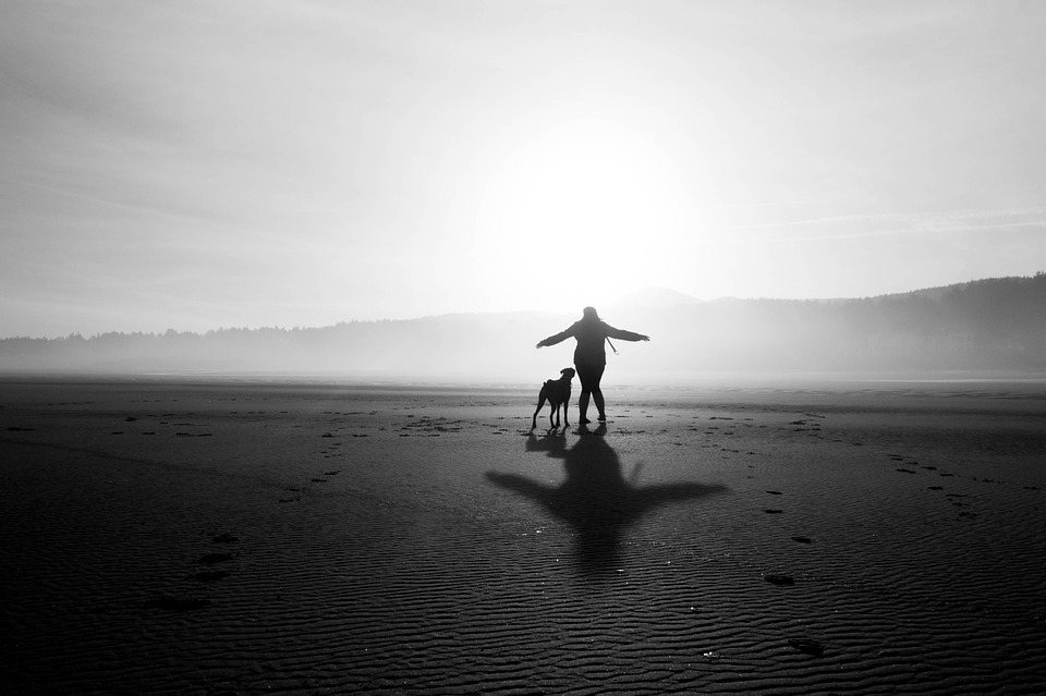 black-and-white-863140_960_720