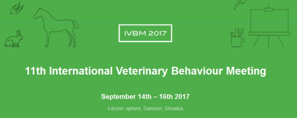 ivbm2017
