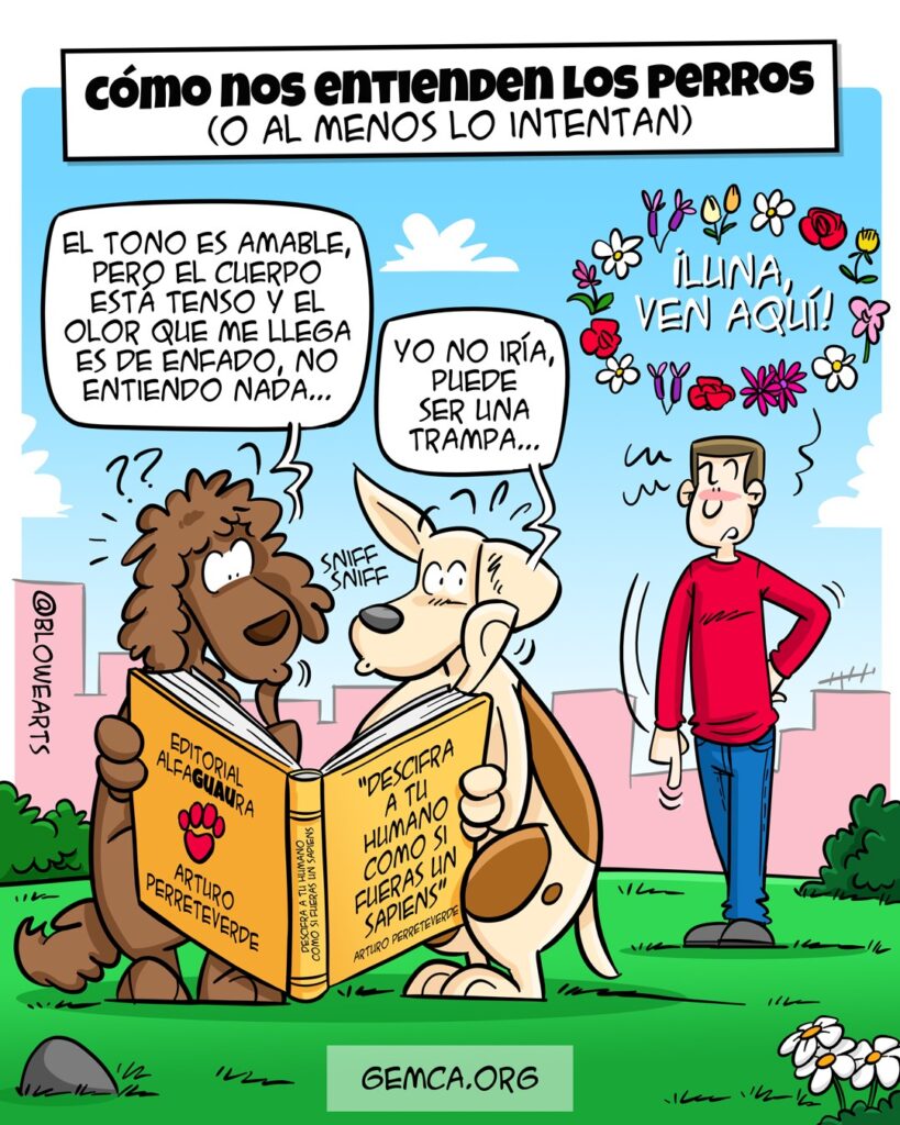 Cómo nos entienden los perros