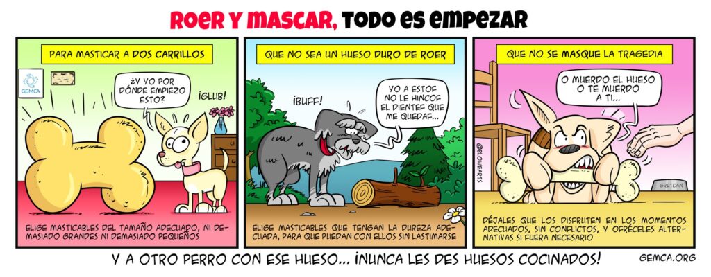 tira mayo 26